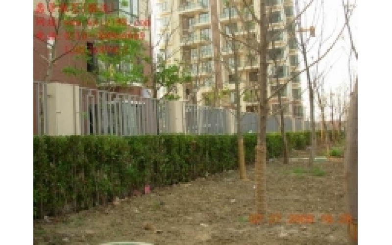 wrought iron fence