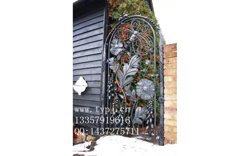 Small wrought iron courtyard gates